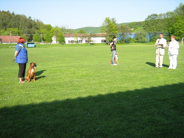 www.atibox.net * www.euroboxer.eu * www.boxergenealogia.eu